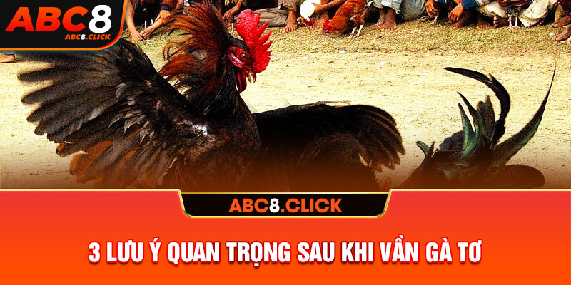 3 lưu ý quan trọng sau khi vần gà tơ