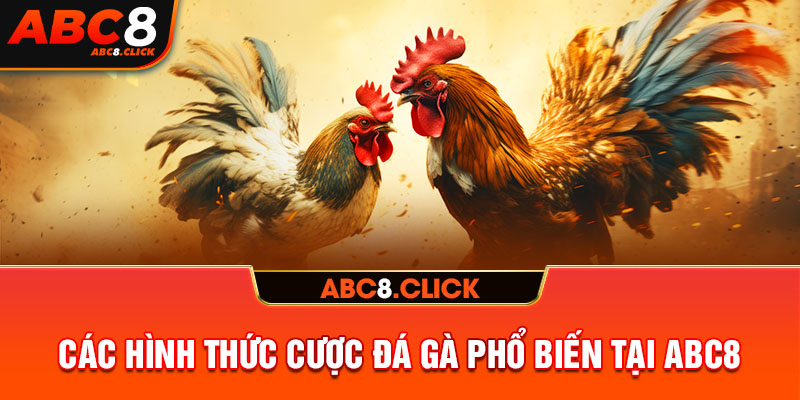 Các hình thức cược đá gà phổ biến tại ABC8