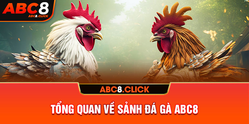 Tổng quan về sảnh đá gà ABC8